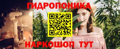 эйфоретик Кинель