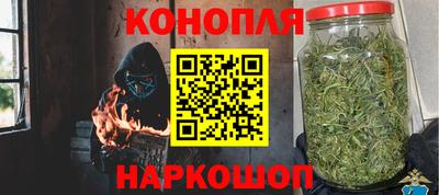 mdpv Кингисепп